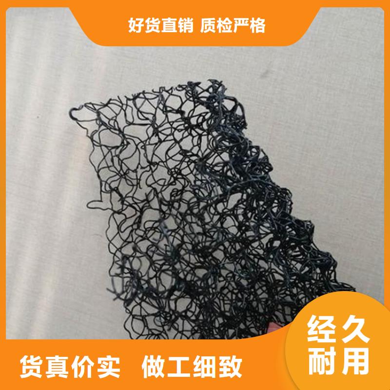 水土保護(hù)毯拉筋帶廠家自營(yíng)