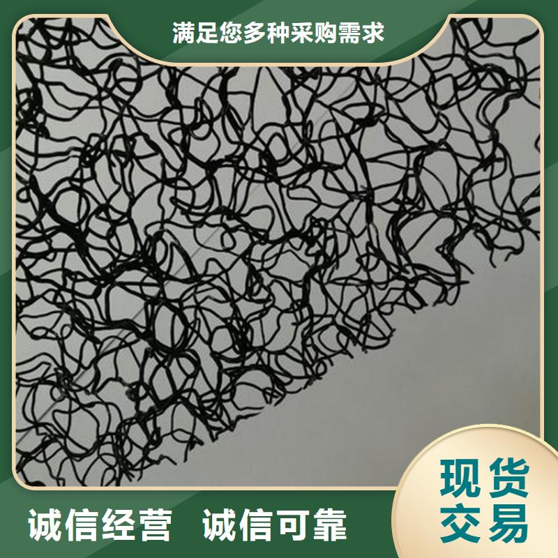 水土保護(hù)毯拉筋帶廠家自營(yíng)