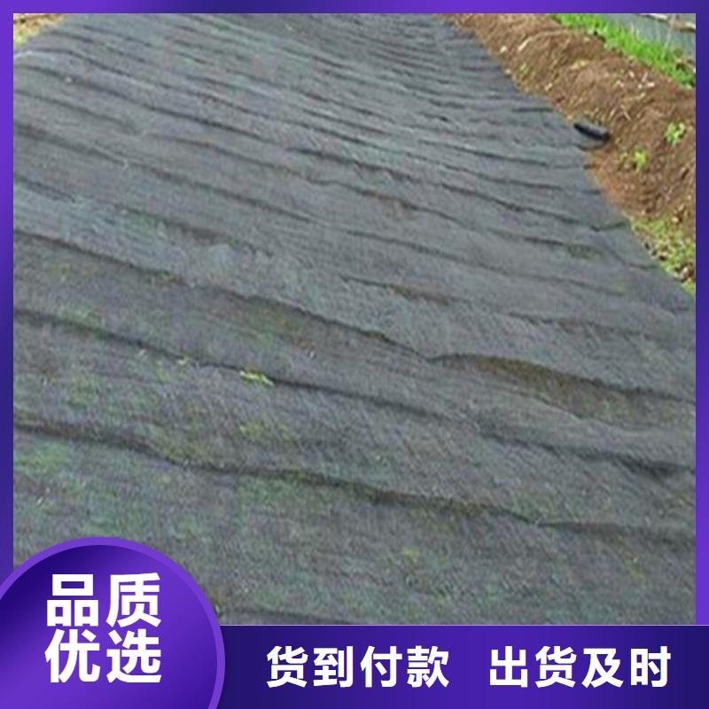 水土保護(hù)毯-防水毯用品質(zhì)說話
