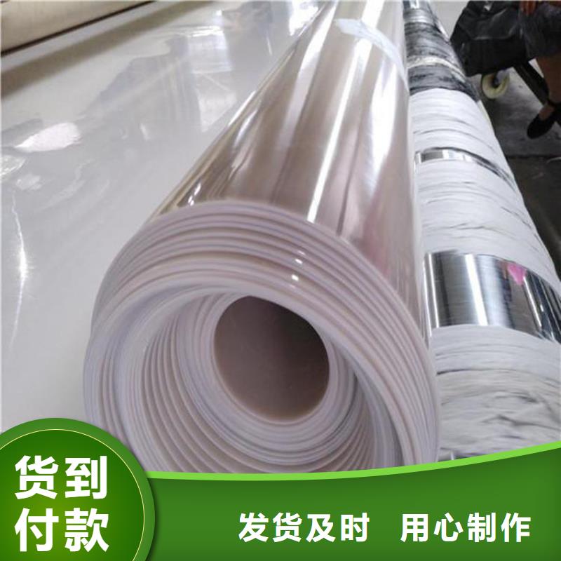 防水板防渗膜厂家直营
