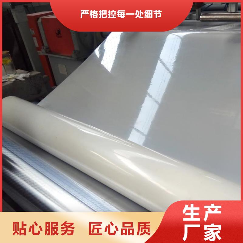防水板三維植被網(wǎng)產(chǎn)地廠家直銷