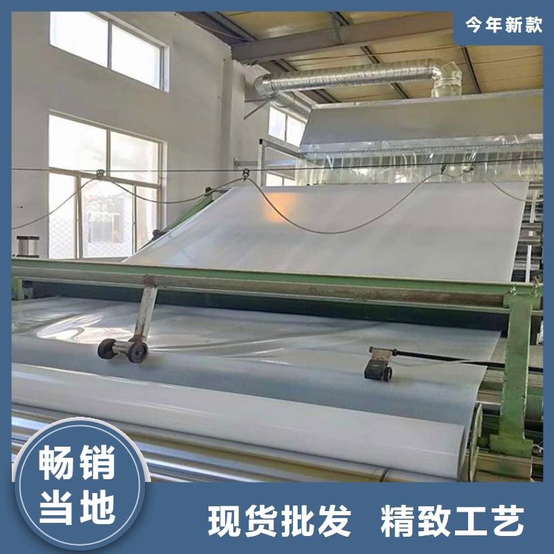 防水板雙向土工格柵質保一年