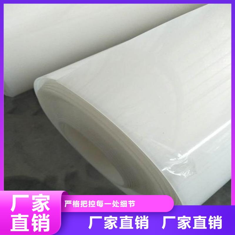 防水板滌綸格柵供貨及時(shí)