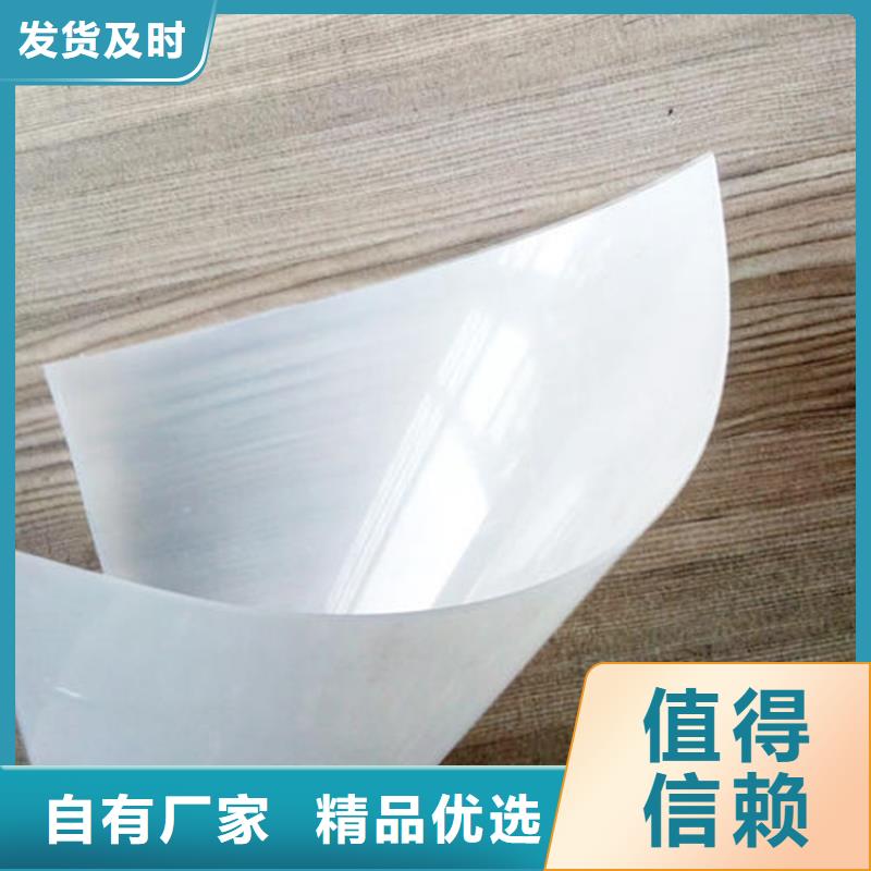 防水板雙向土工格柵質保一年