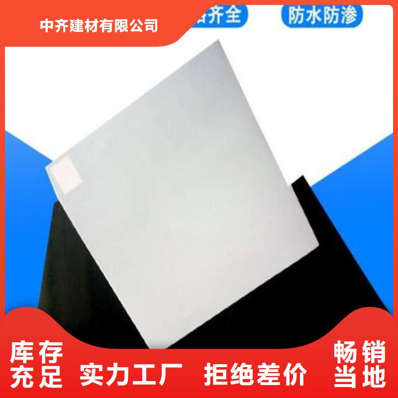 防水板雙向土工格柵質保一年
