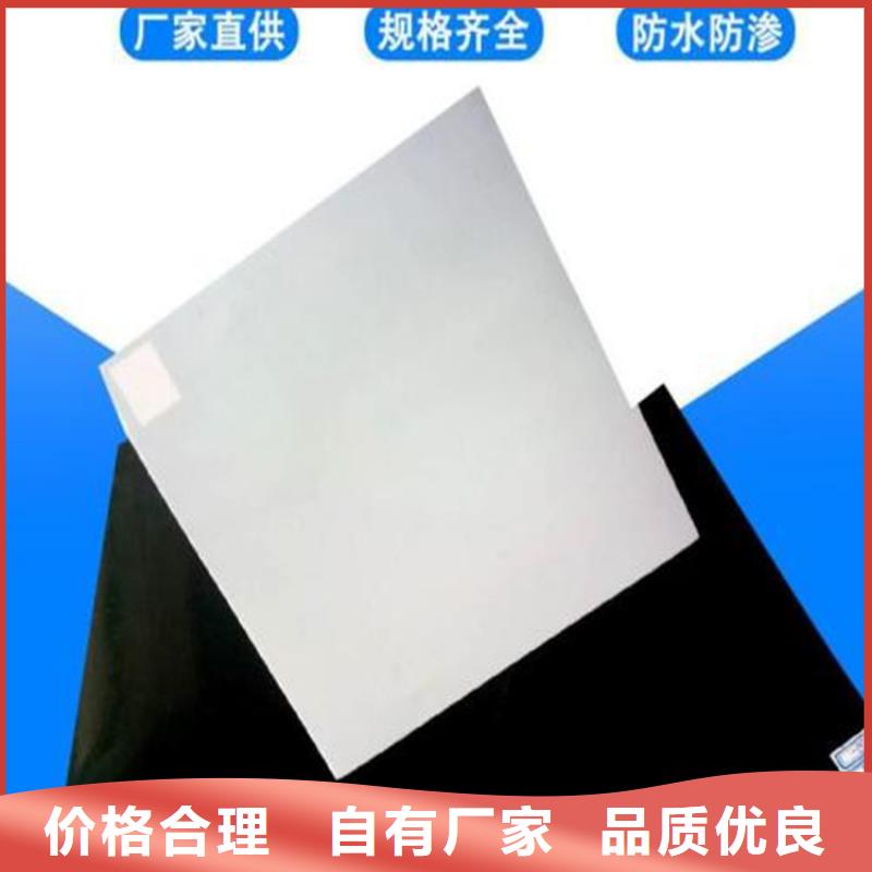 防水板滌綸格柵供貨及時(shí)