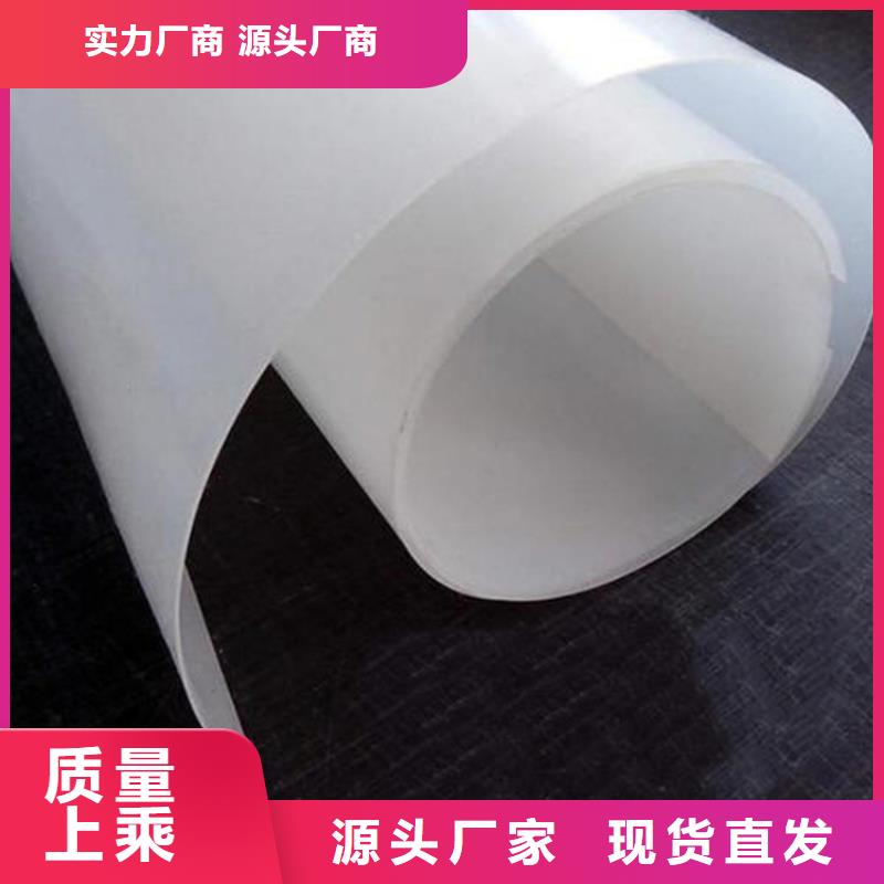防水板滌綸格柵供貨及時(shí)