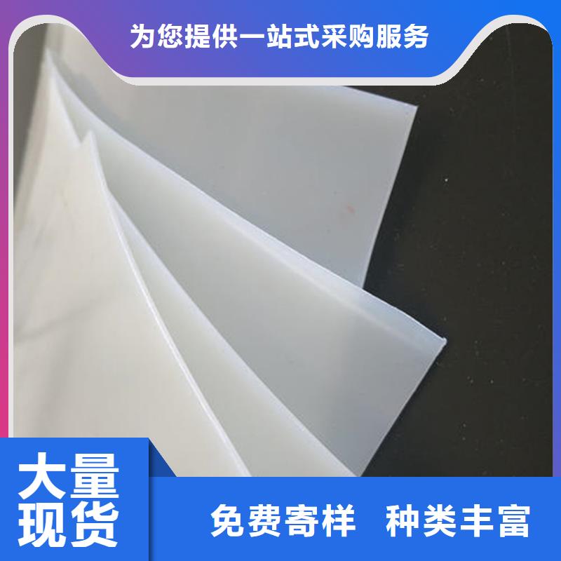 防水板滌綸格柵供貨及時
