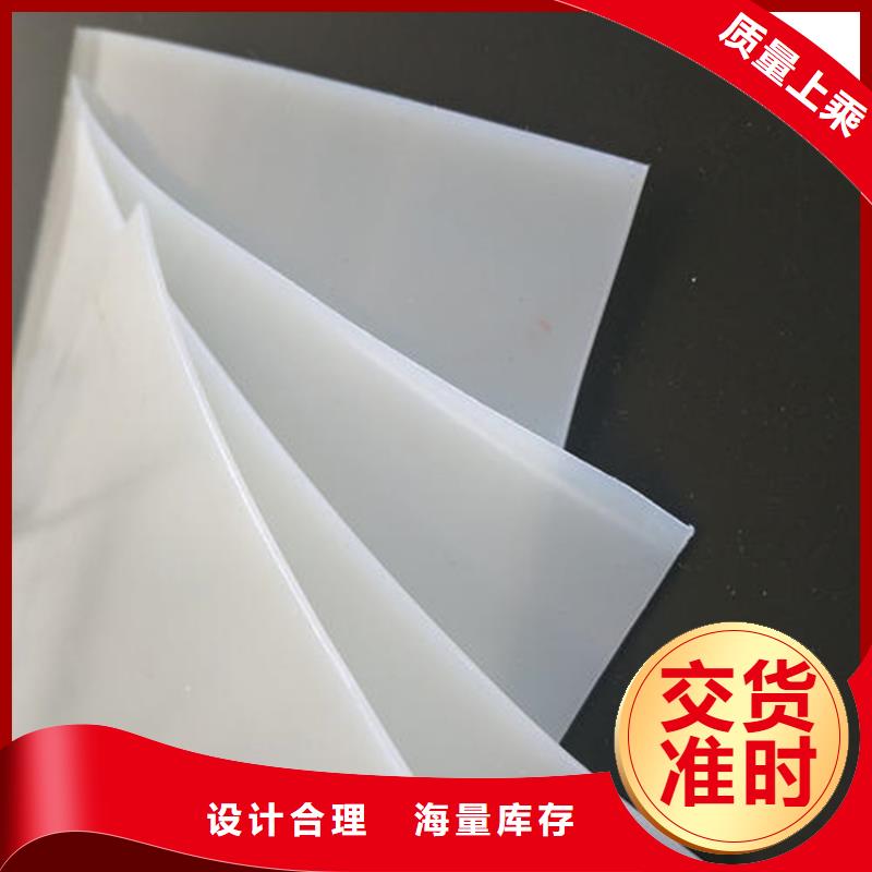 防水板滌綸格柵供貨及時(shí)