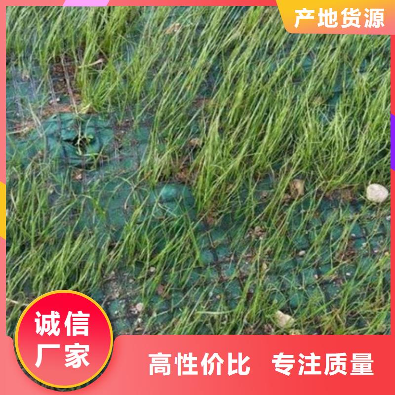 椰絲毯土工膜定制定做