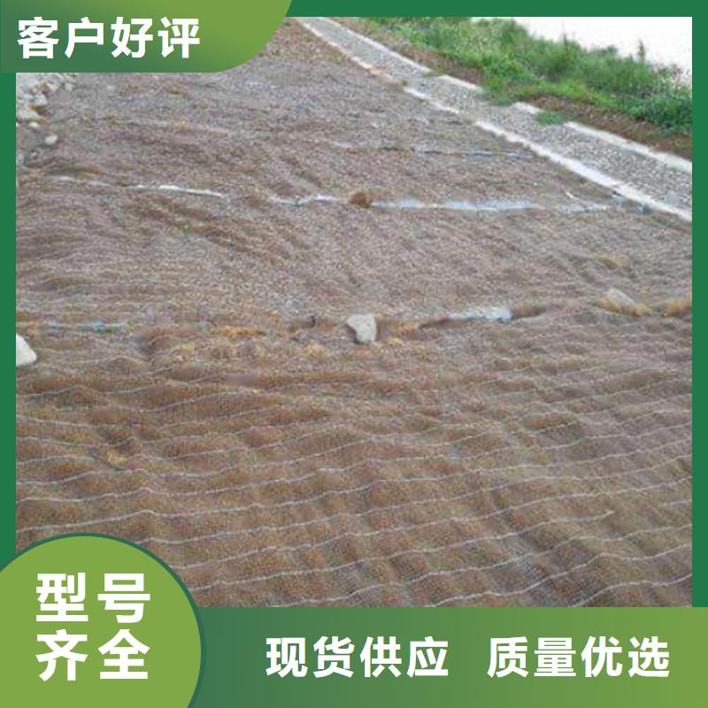 椰絲毯土工膜定制定做