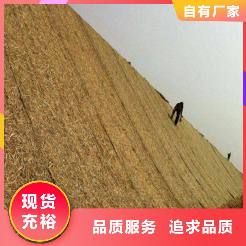 椰絲毯塑料盲溝選擇我們沒錯