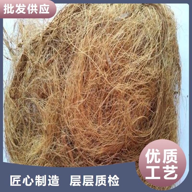 椰丝毯植生毯免费询价