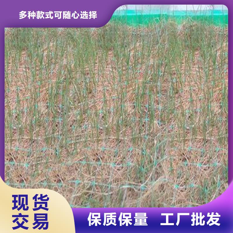 椰絲毯,復(fù)合膜廠家經(jīng)驗(yàn)豐富