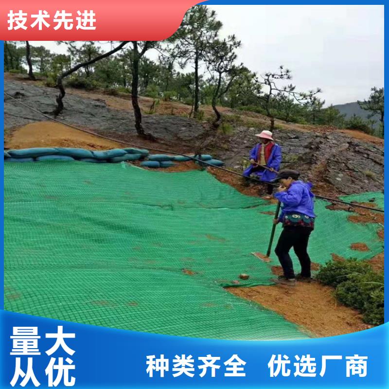 椰丝毯植生毯大厂家实力看得见