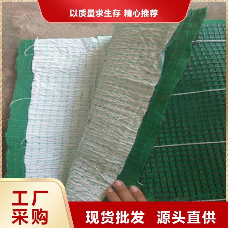 椰丝毯【80KN玻纤格栅】优良材质