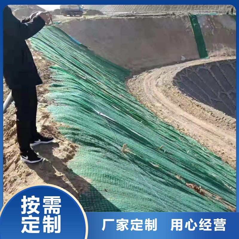 帶草籽環(huán)保草毯