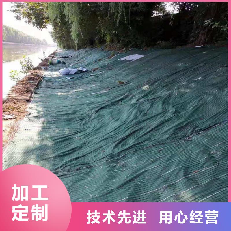 椰絲毯-土工布專業(yè)廠家