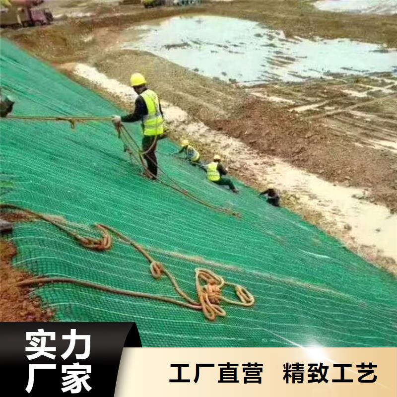 椰絲毯土工膜定制定做