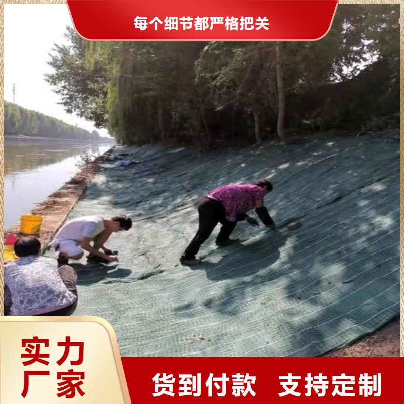 椰絲毯土工膜定制定做