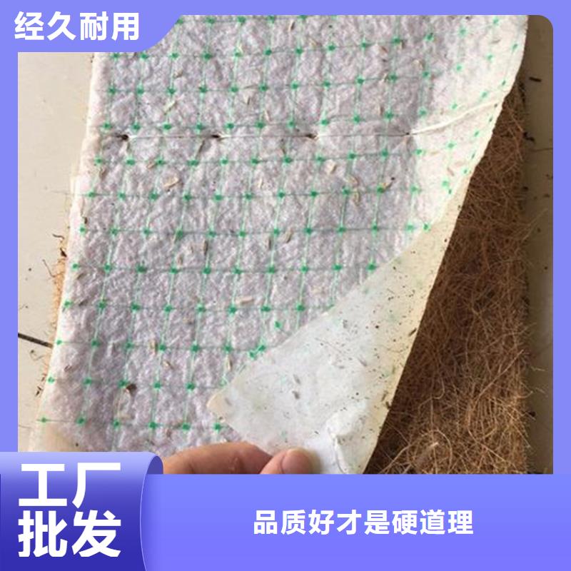 椰絲毯-土工布專業(yè)廠家