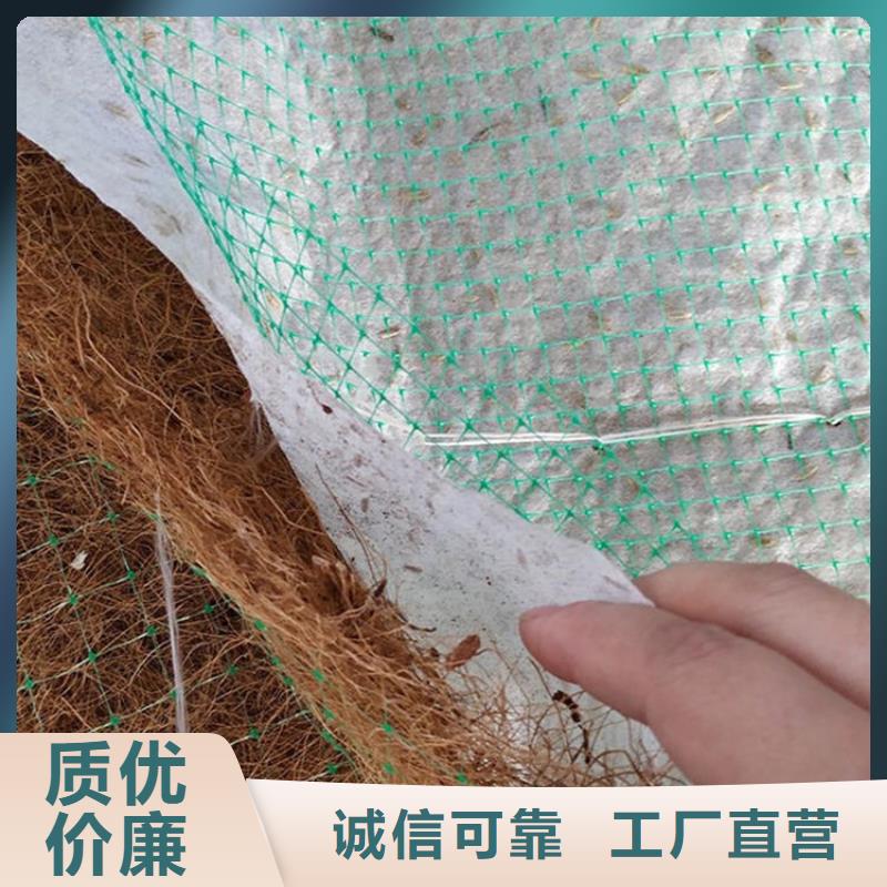 椰絲毯蓄水板實體廠家支持定制