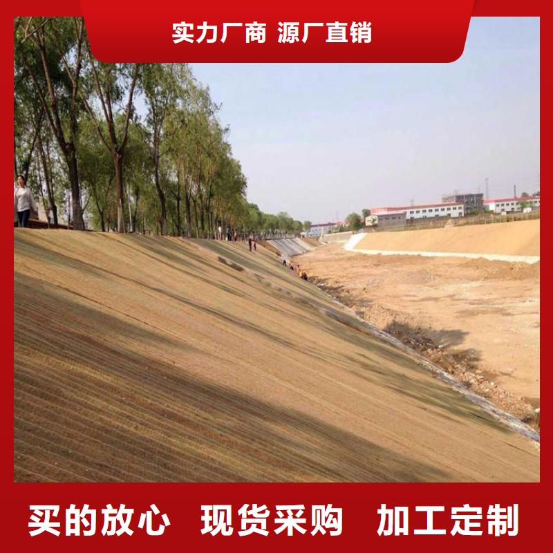 椰絲毯蓄水板實體廠家支持定制