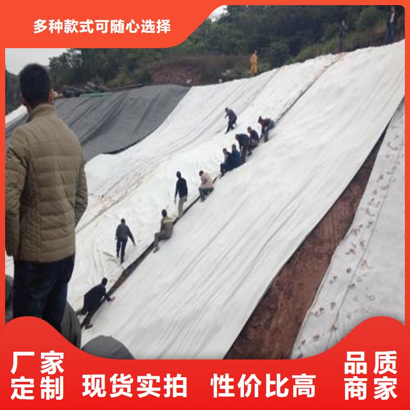 膨润土防水毯编织布的图文介绍