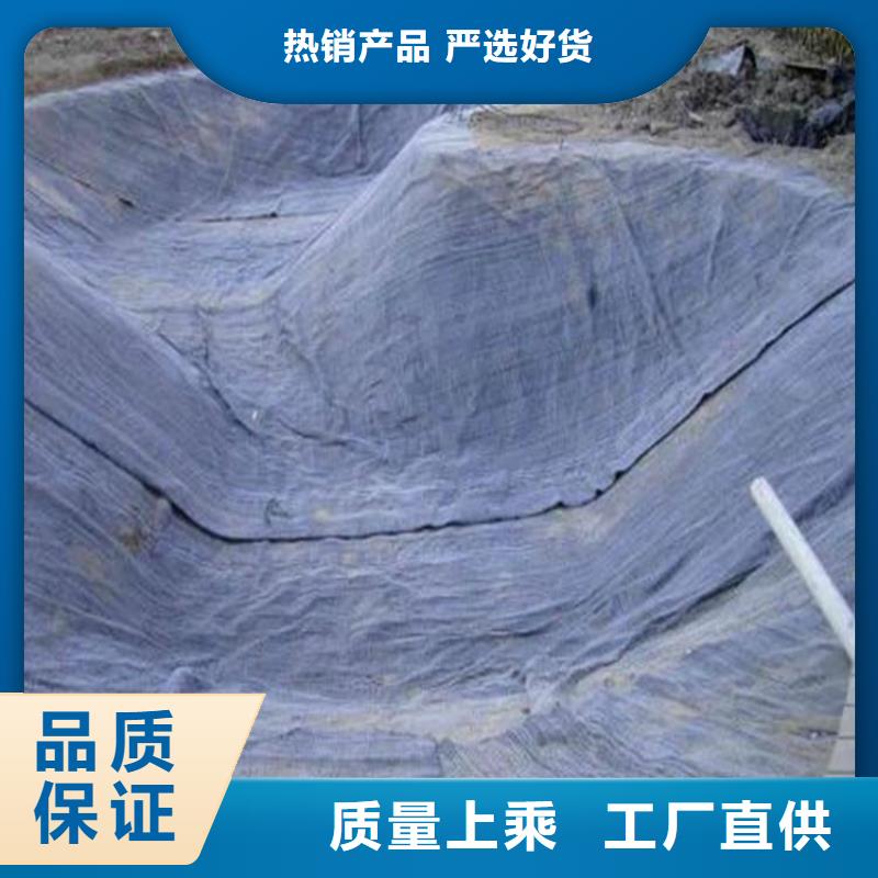 膨润土防水毯,【单向塑料土工格栅】品种全