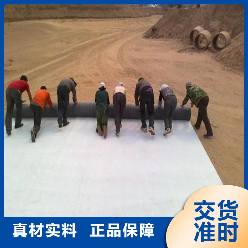 鈉基膨潤(rùn)土防水墊