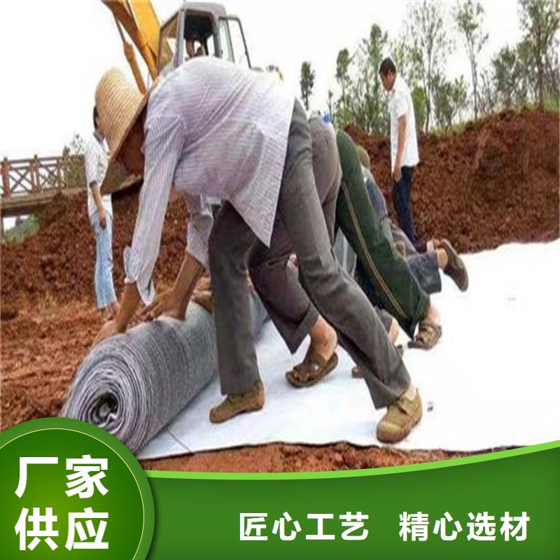 膨潤土防水毯防滲膜多家倉庫發(fā)貨