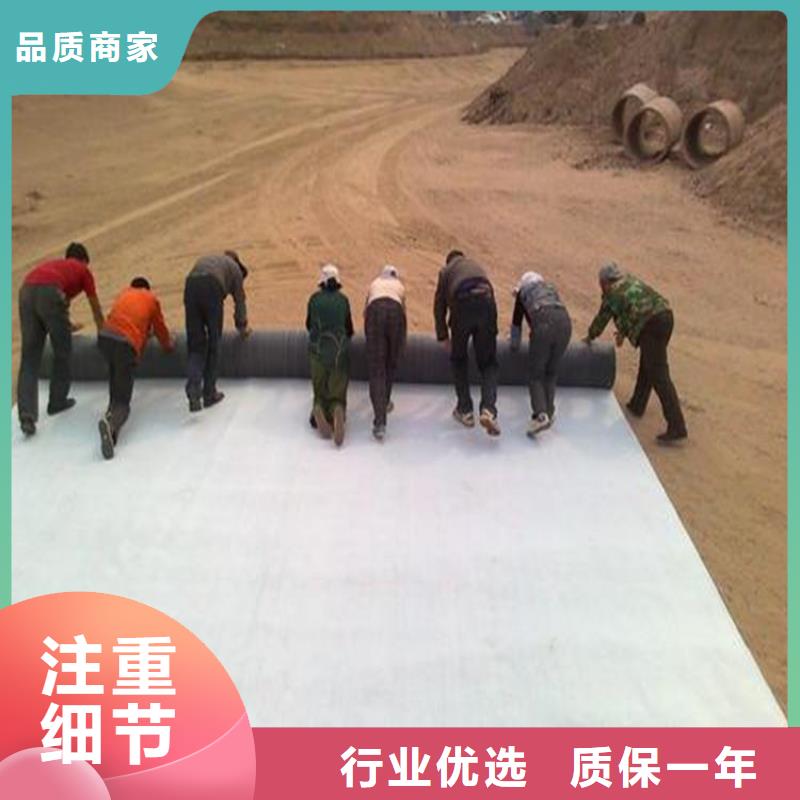 膨潤土防水毯-土工格柵以質(zhì)量求生存