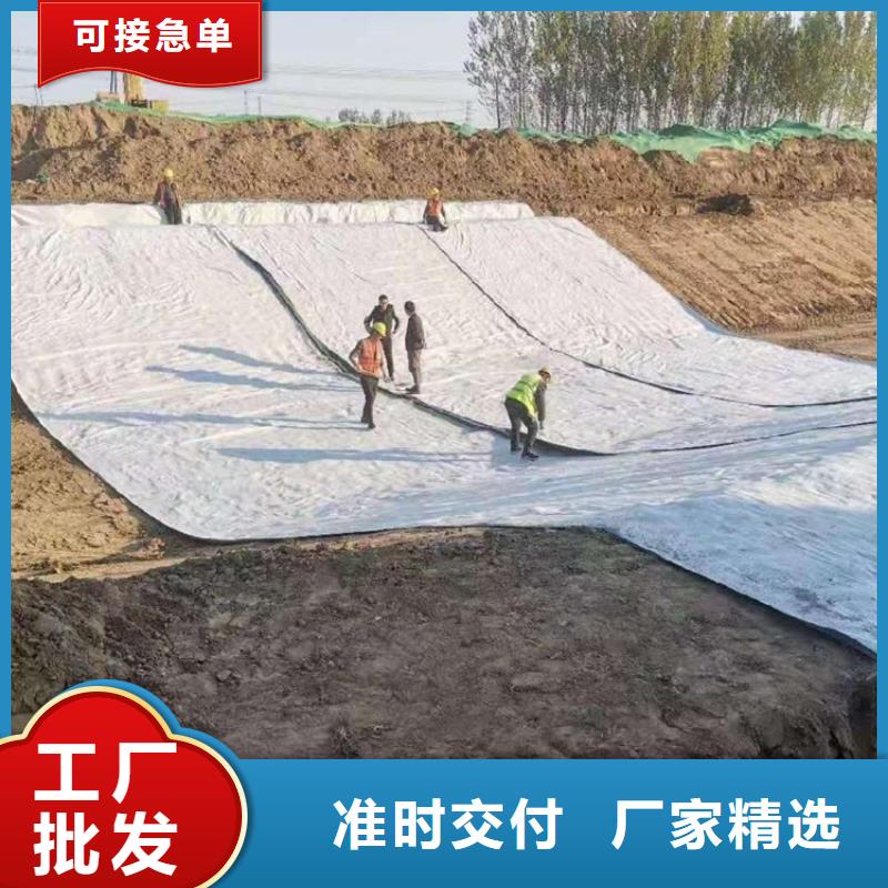 膨润土防水毯,拉筋带一站式采购商家
