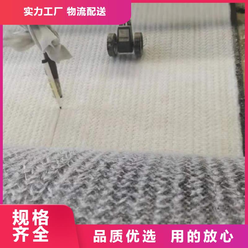 膨润土防水毯防水板精益求精