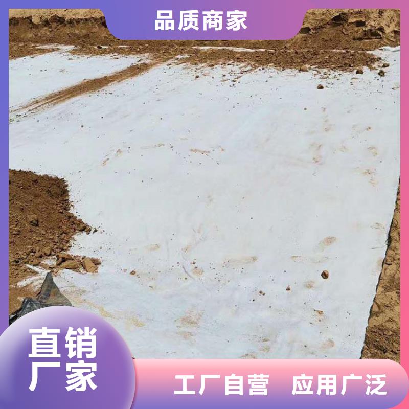 膨润土防水毯,拉筋带一站式采购商家