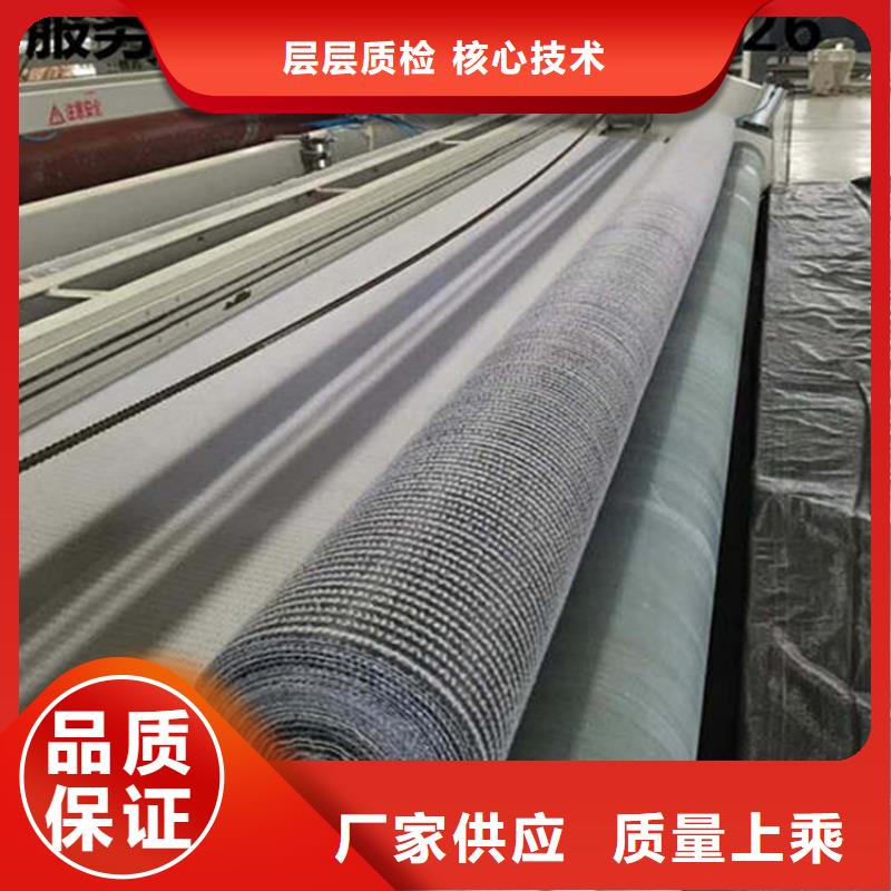 膨润土防水毯,【单向塑料土工格栅】品种全