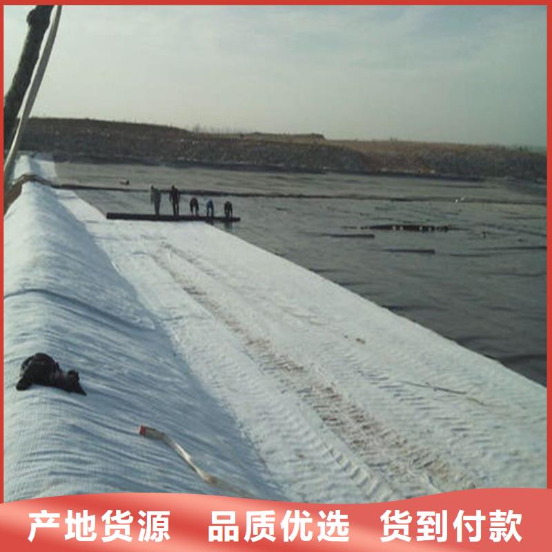 膨润土防水毯-土工格栅以质量求生存