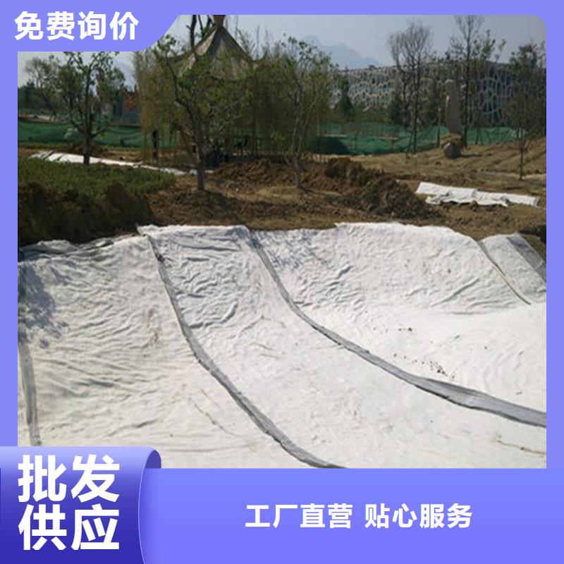 膨润土防水毯-土工格栅以质量求生存