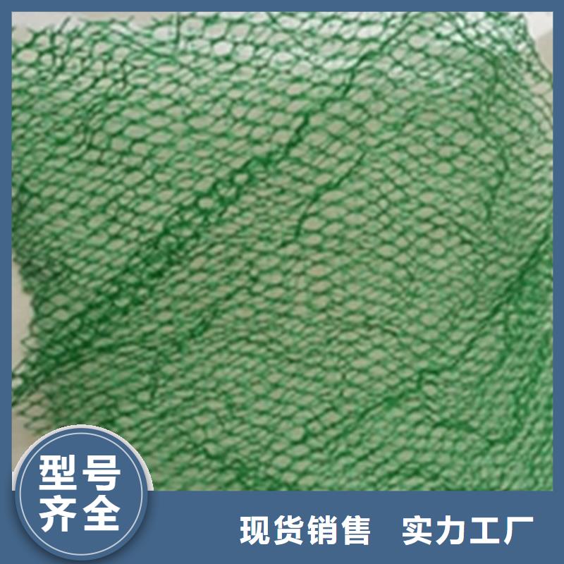 三維植被網(wǎng)_防裂貼極速發(fā)貨