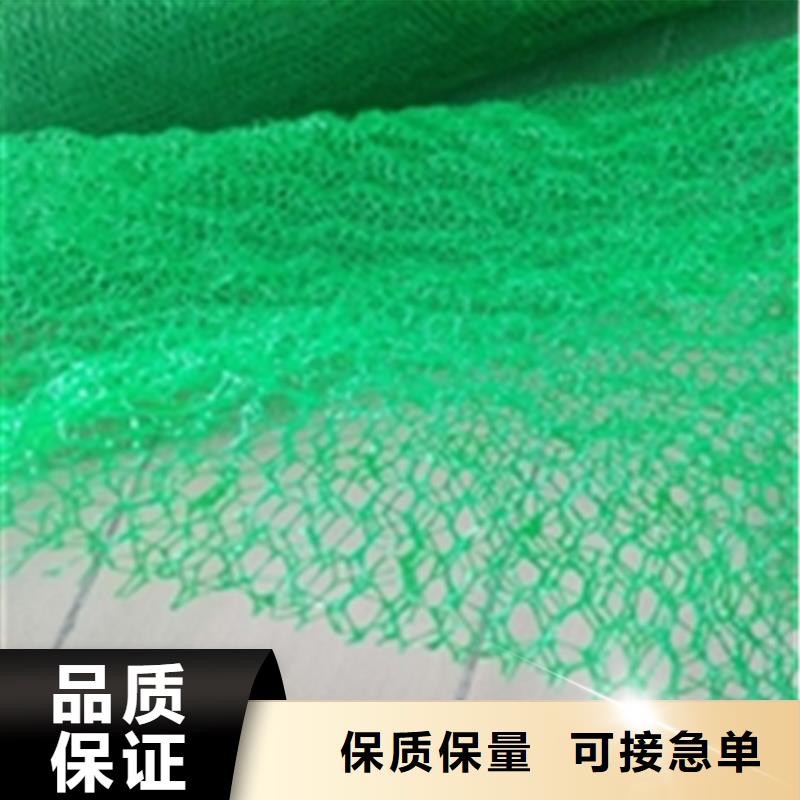 三維植被網(wǎng),土工膜源頭廠商