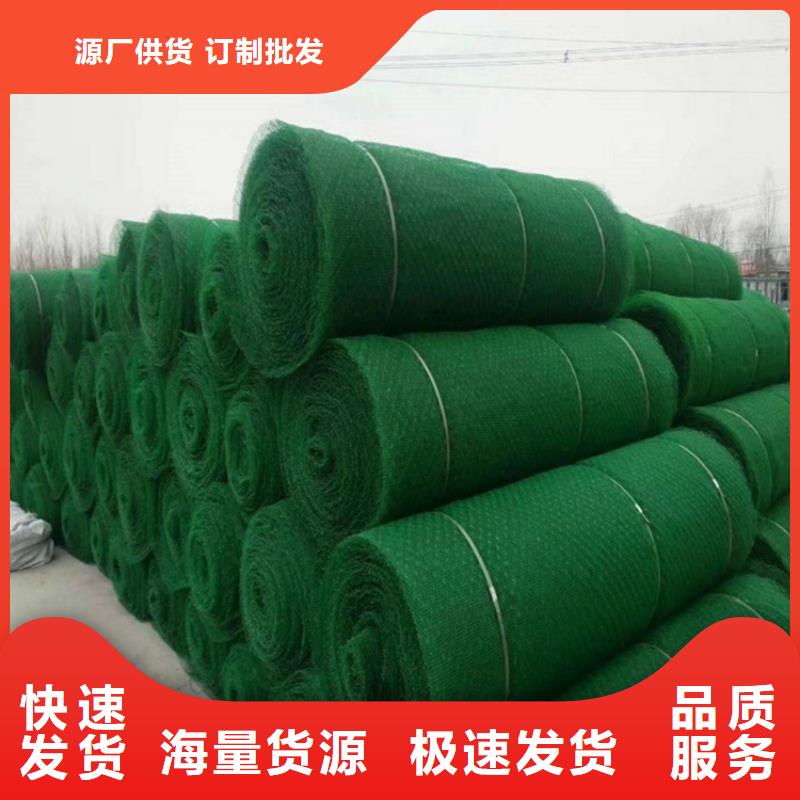三维植被网,土工格栅质量牢靠
