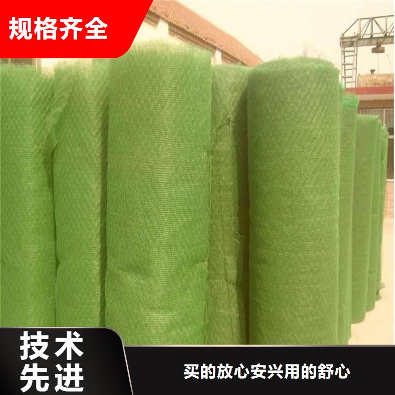 三維植被網(wǎng)-塑料玻纖格柵嚴(yán)選用料