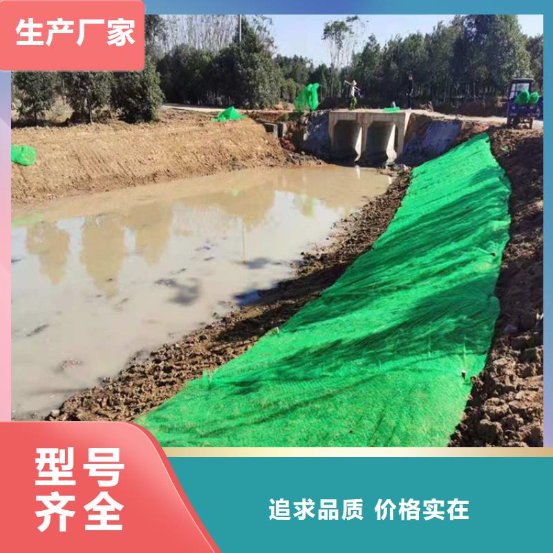 三维植被网,土工格栅质量牢靠