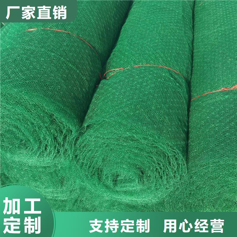 三維植被網(wǎng)_防裂貼極速發(fā)貨