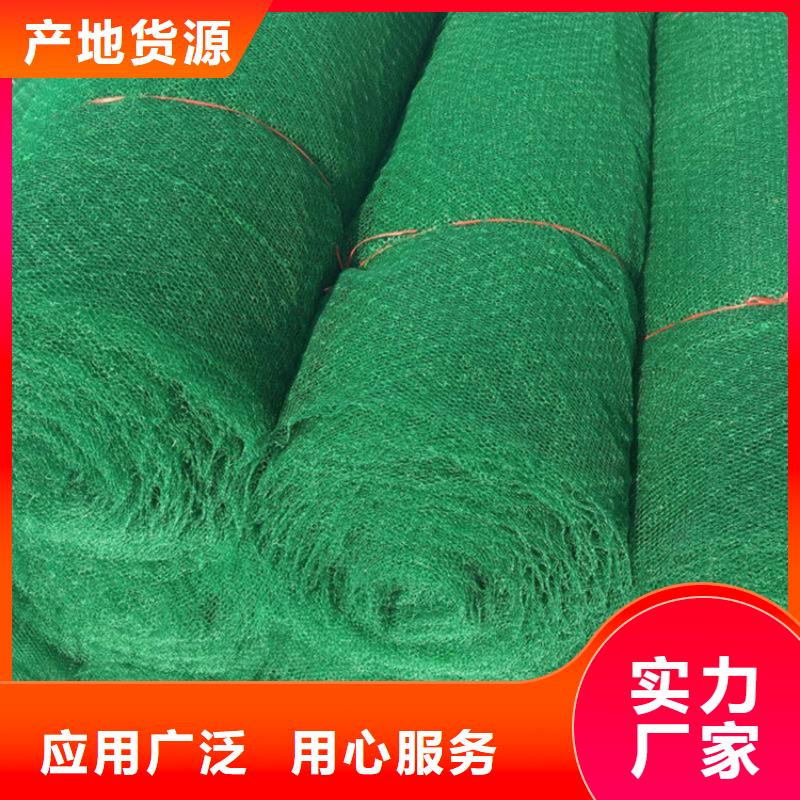 三維植被網(wǎng)-聚酯長(zhǎng)絲土工布種類豐富