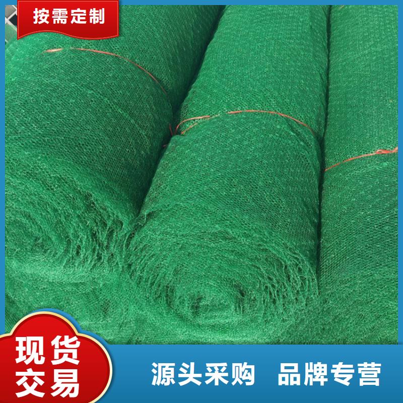 三維植被網(wǎng)_防裂貼極速發(fā)貨