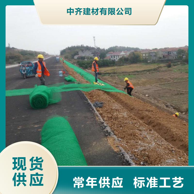 三維植被網(wǎng)土工網(wǎng)多家倉庫發(fā)貨