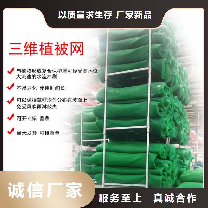 三维植被网,螺旋管型号齐全