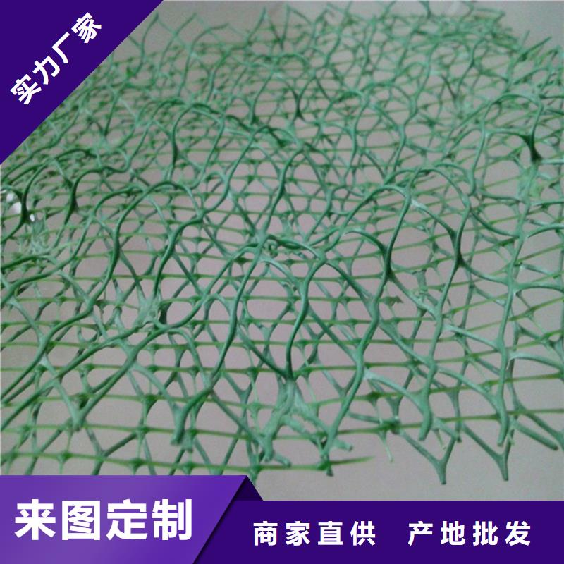 三維植被網(wǎng)土工網(wǎng)多家倉庫發(fā)貨