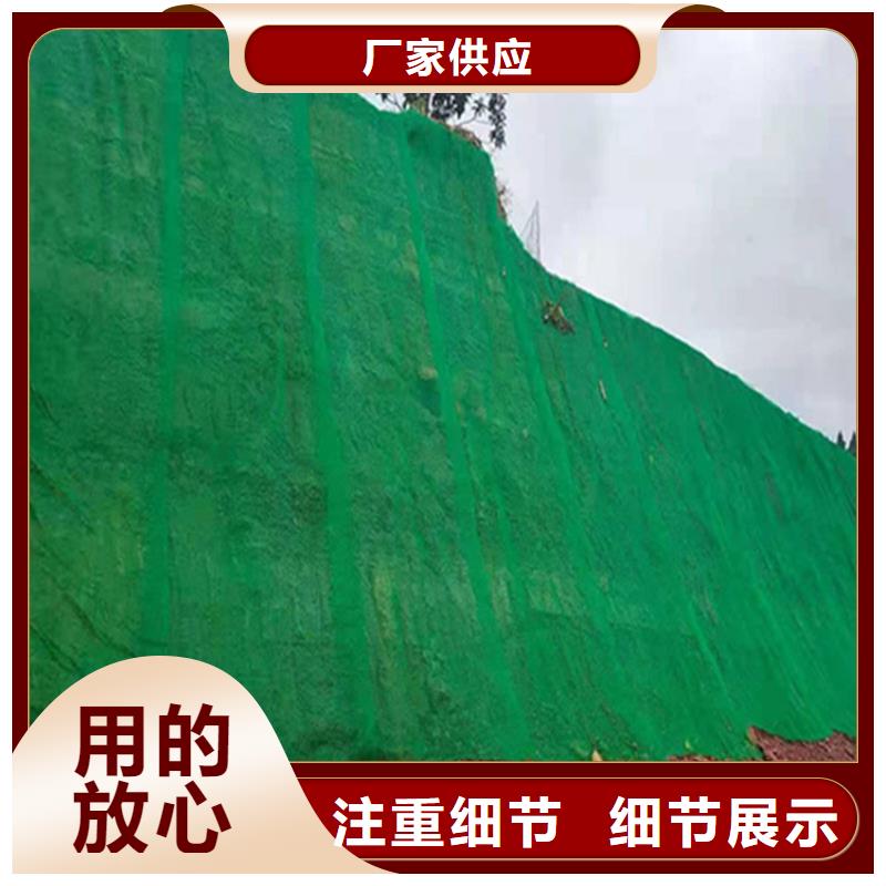 三维植被网,螺旋管型号齐全